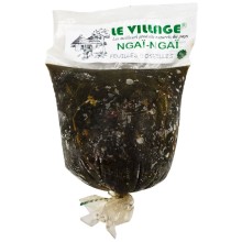 Ngai Ngai* Cameroon Le Village 20 x 500 gr.
