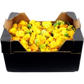 Pepper* Hot Pili-Pili Frozen Yellow 3 kg.
