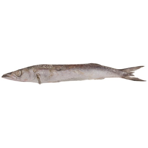 Baracuda* Fresh Frozen 1000-2000 gr. 10 kg.