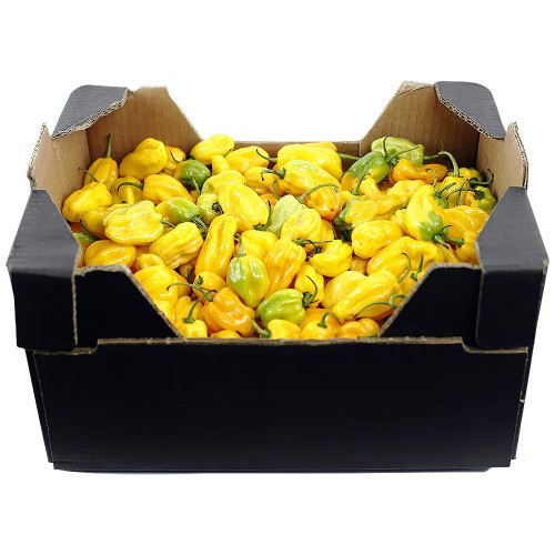 Pepper Hot Pili-Pili Yellow Uganda 3.6 kg.