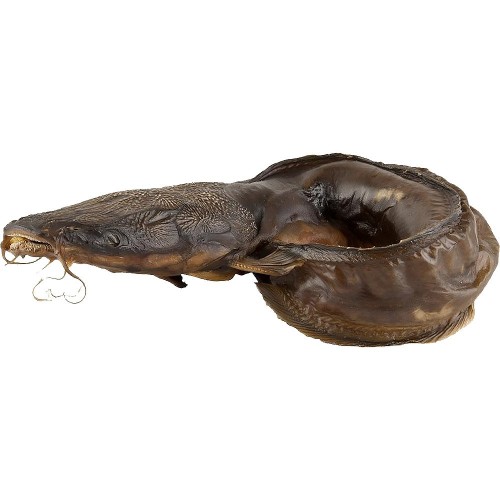 Catfish* Ring Traditionally Smoked 1 x 5 kg.