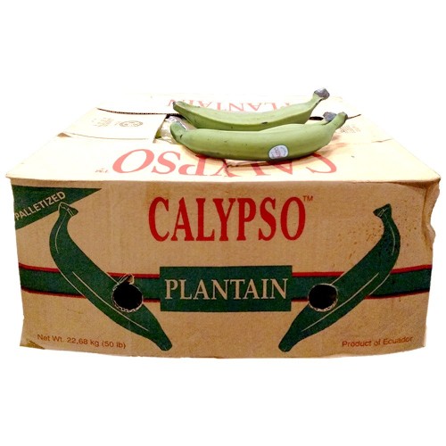 Plantain Green Calypso 50 lbs.