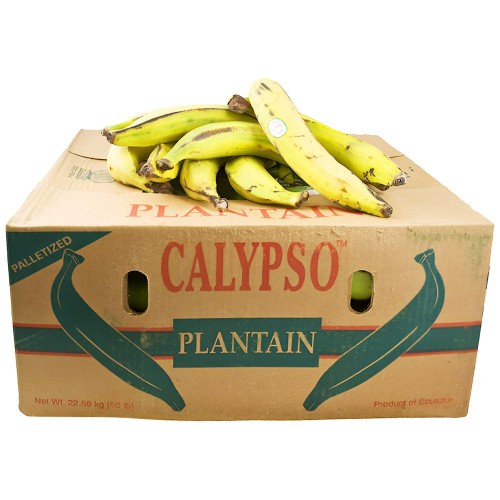 Plantain Yellow Calypso 50 lbs.