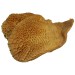 Cow Stomach* Tripe, Honeycomb Ijebu Style 16 x 1 kg.